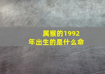 属猴的1992年出生的是什么命