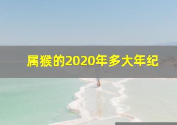 属猴的2020年多大年纪