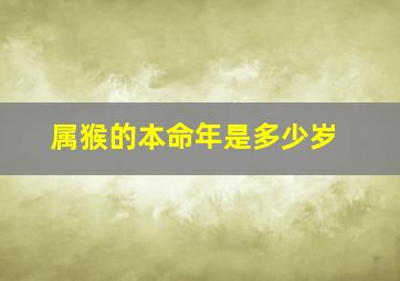 属猴的本命年是多少岁