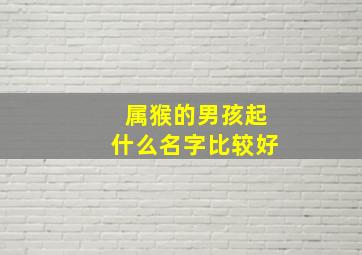 属猴的男孩起什么名字比较好