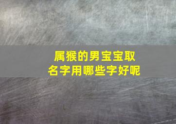 属猴的男宝宝取名字用哪些字好呢