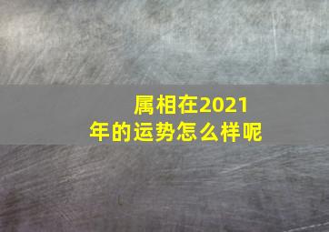 属相在2021年的运势怎么样呢