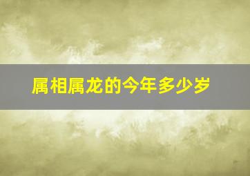 属相属龙的今年多少岁