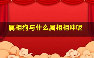 属相狗与什么属相相冲呢