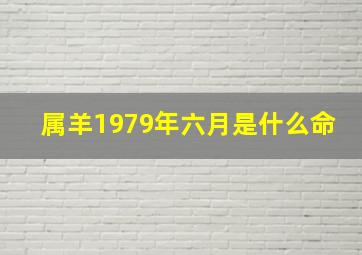 属羊1979年六月是什么命