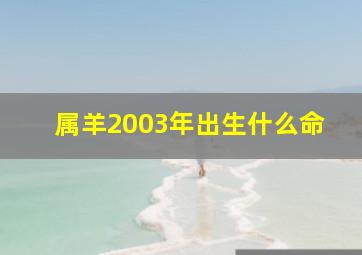 属羊2003年出生什么命