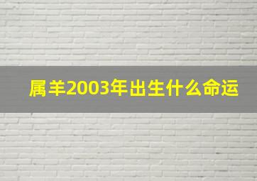 属羊2003年出生什么命运