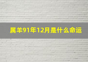 属羊91年12月是什么命运