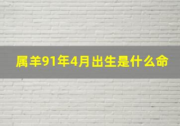 属羊91年4月出生是什么命