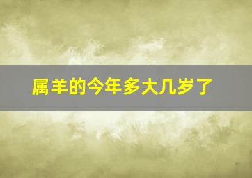 属羊的今年多大几岁了