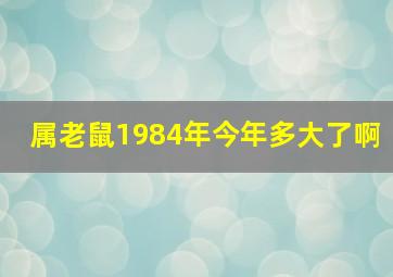 属老鼠1984年今年多大了啊