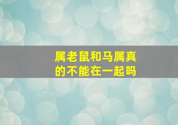 属老鼠和马属真的不能在一起吗