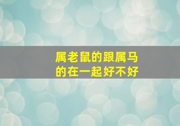 属老鼠的跟属马的在一起好不好