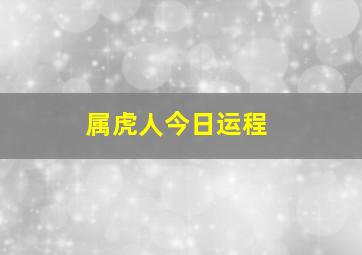 属虎人今日运程