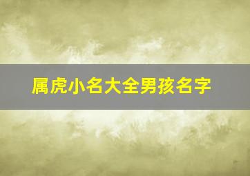 属虎小名大全男孩名字