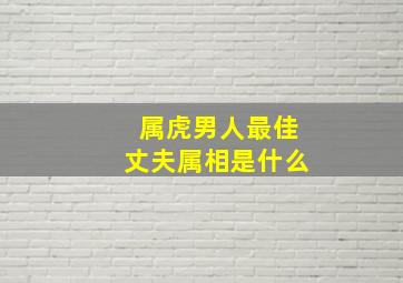 属虎男人最佳丈夫属相是什么