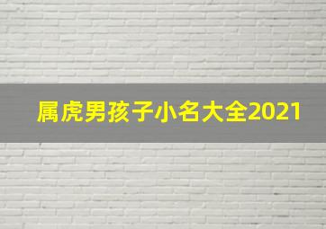 属虎男孩子小名大全2021