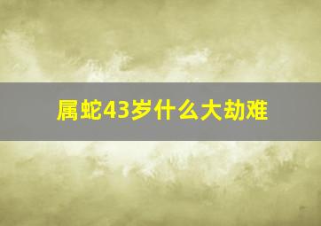 属蛇43岁什么大劫难