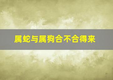 属蛇与属狗合不合得来