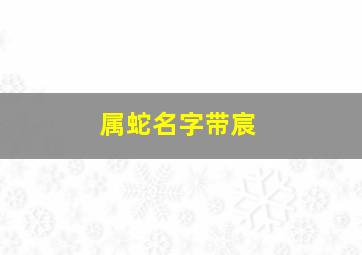 属蛇名字带宸