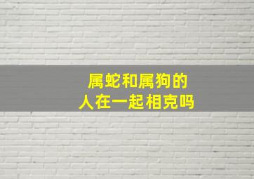 属蛇和属狗的人在一起相克吗