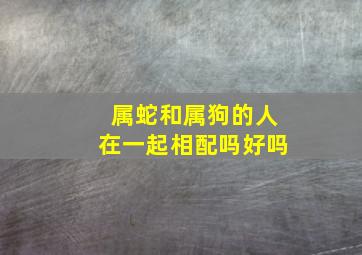 属蛇和属狗的人在一起相配吗好吗