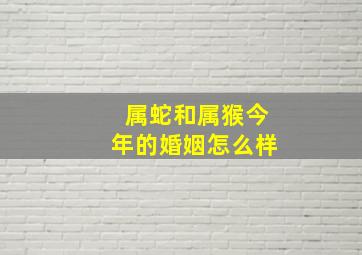 属蛇和属猴今年的婚姻怎么样