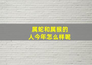 属蛇和属猴的人今年怎么样呢