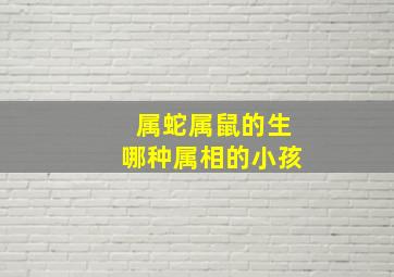 属蛇属鼠的生哪种属相的小孩