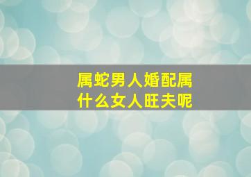 属蛇男人婚配属什么女人旺夫呢