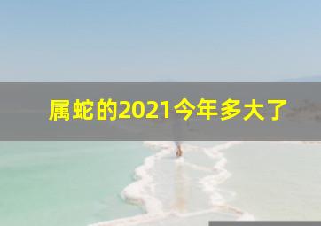 属蛇的2021今年多大了