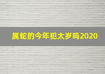 属蛇的今年犯太岁吗2020