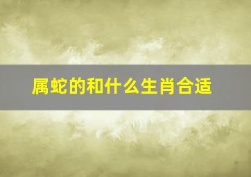 属蛇的和什么生肖合适