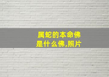 属蛇的本命佛是什么佛,照片