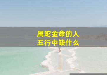 属蛇金命的人五行中缺什么