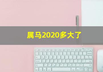 属马2020多大了