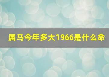 属马今年多大1966是什么命