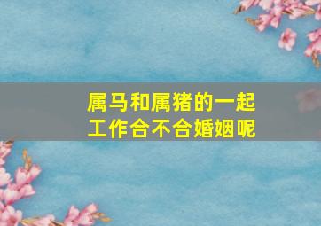 属马和属猪的一起工作合不合婚姻呢