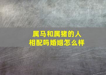 属马和属猪的人相配吗婚姻怎么样