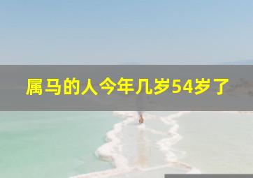 属马的人今年几岁54岁了