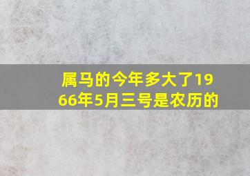 属马的今年多大了1966年5月三号是农历的