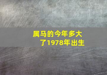 属马的今年多大了1978年出生