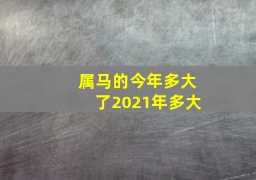 属马的今年多大了2021年多大