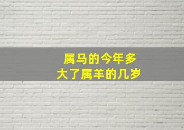 属马的今年多大了属羊的几岁