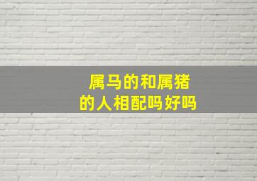 属马的和属猪的人相配吗好吗