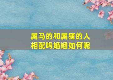 属马的和属猪的人相配吗婚姻如何呢