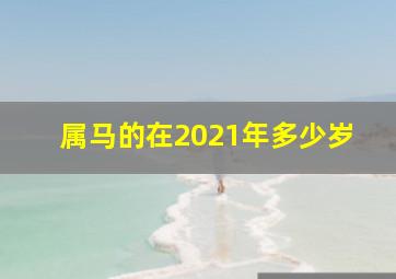 属马的在2021年多少岁