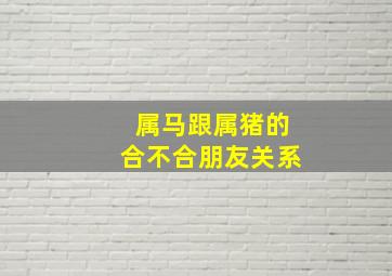 属马跟属猪的合不合朋友关系