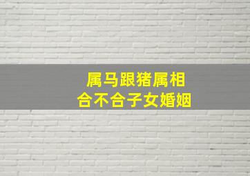 属马跟猪属相合不合子女婚姻