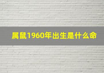 属鼠1960年出生是什么命